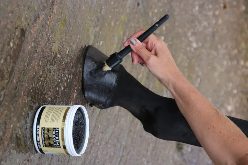 Supreme Products Hoof Gloss - Black 450ml-1